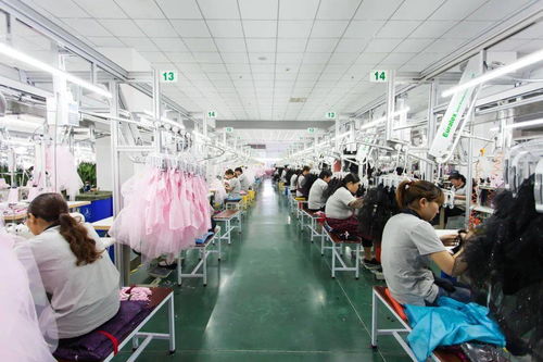 堅(jiān)持科技創(chuàng)新，引領(lǐng)會(huì)員企業(yè)高質(zhì)量發(fā)展取得新成果——聚焦科技技術(shù)開(kāi)發(fā)